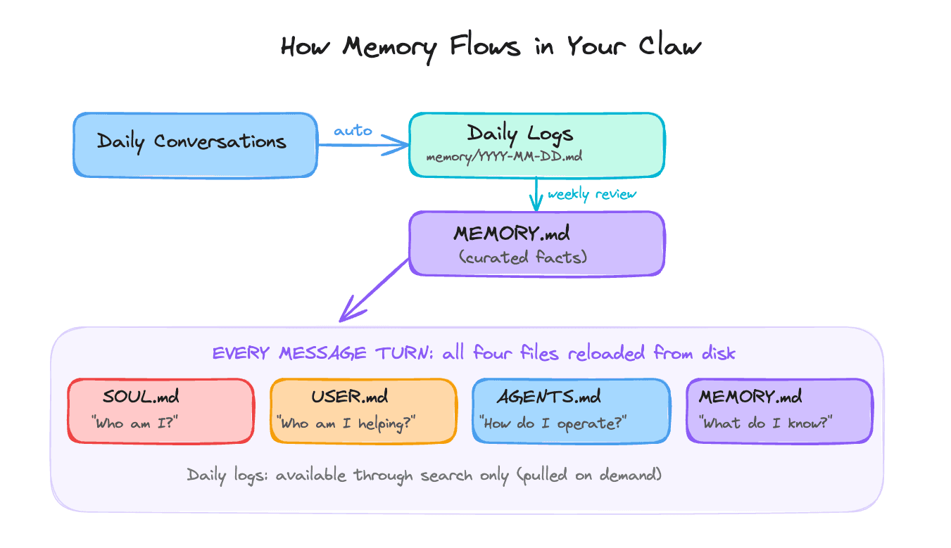 How memory flows in OpenClaw: conversations save to daily logs, a weekly review curates facts into MEMORY.md, and SOUL.md, USER.md, AGENTS.md, and MEMORY.md reload on every message
